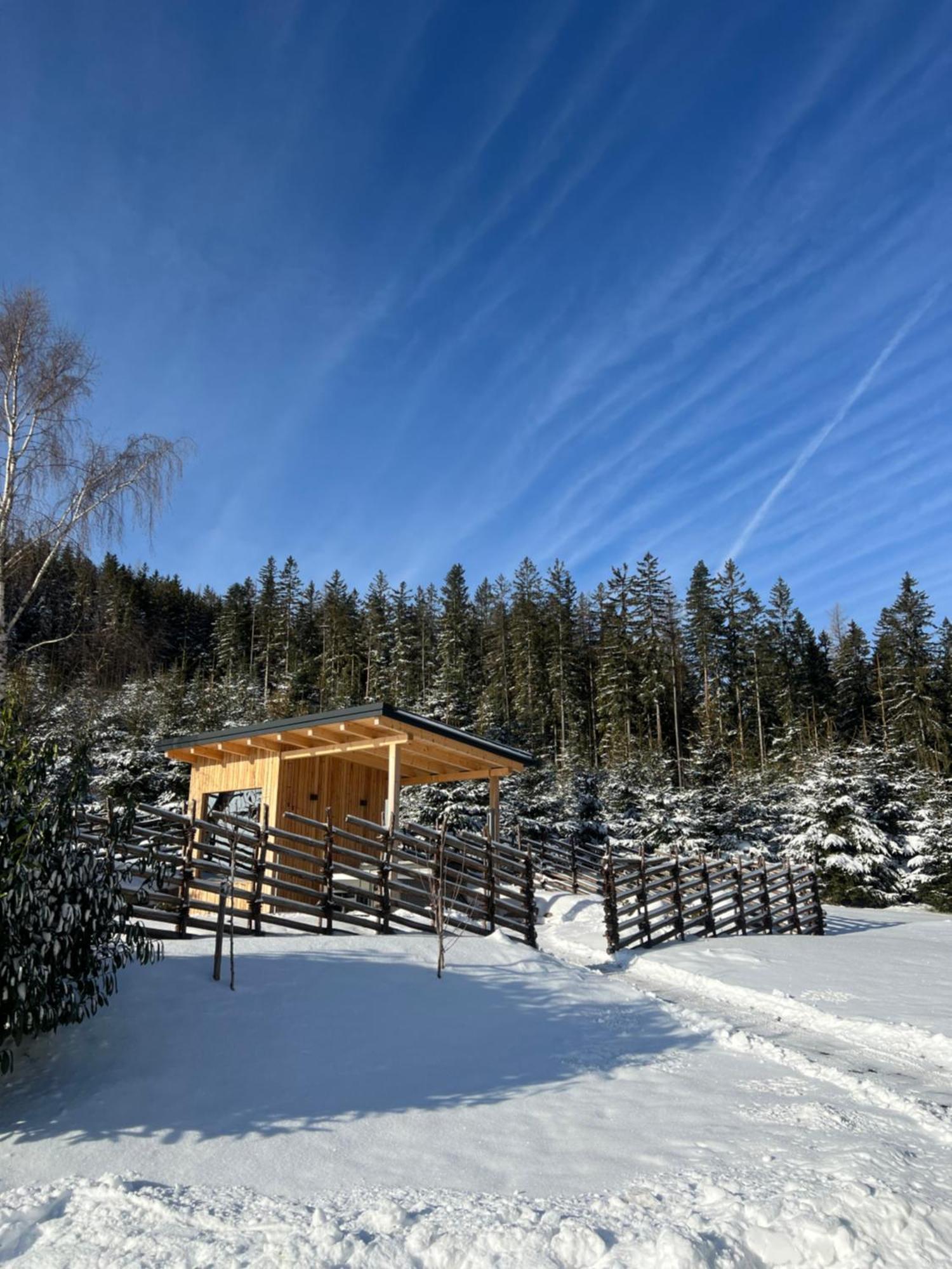 Waldheimatblick Villa Sankt Kathrein am Hauenstein Buitenkant foto